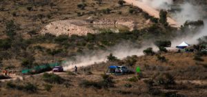 Thierry Neuville