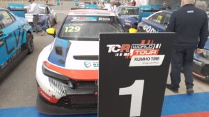 Girolami-TCR-WT